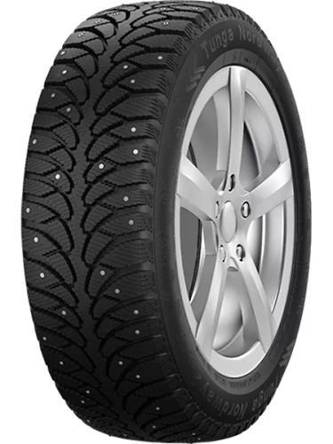 фото протектора и шины Nordway 2 Шина Tunga Nordway 2 195/65 R15 Q91